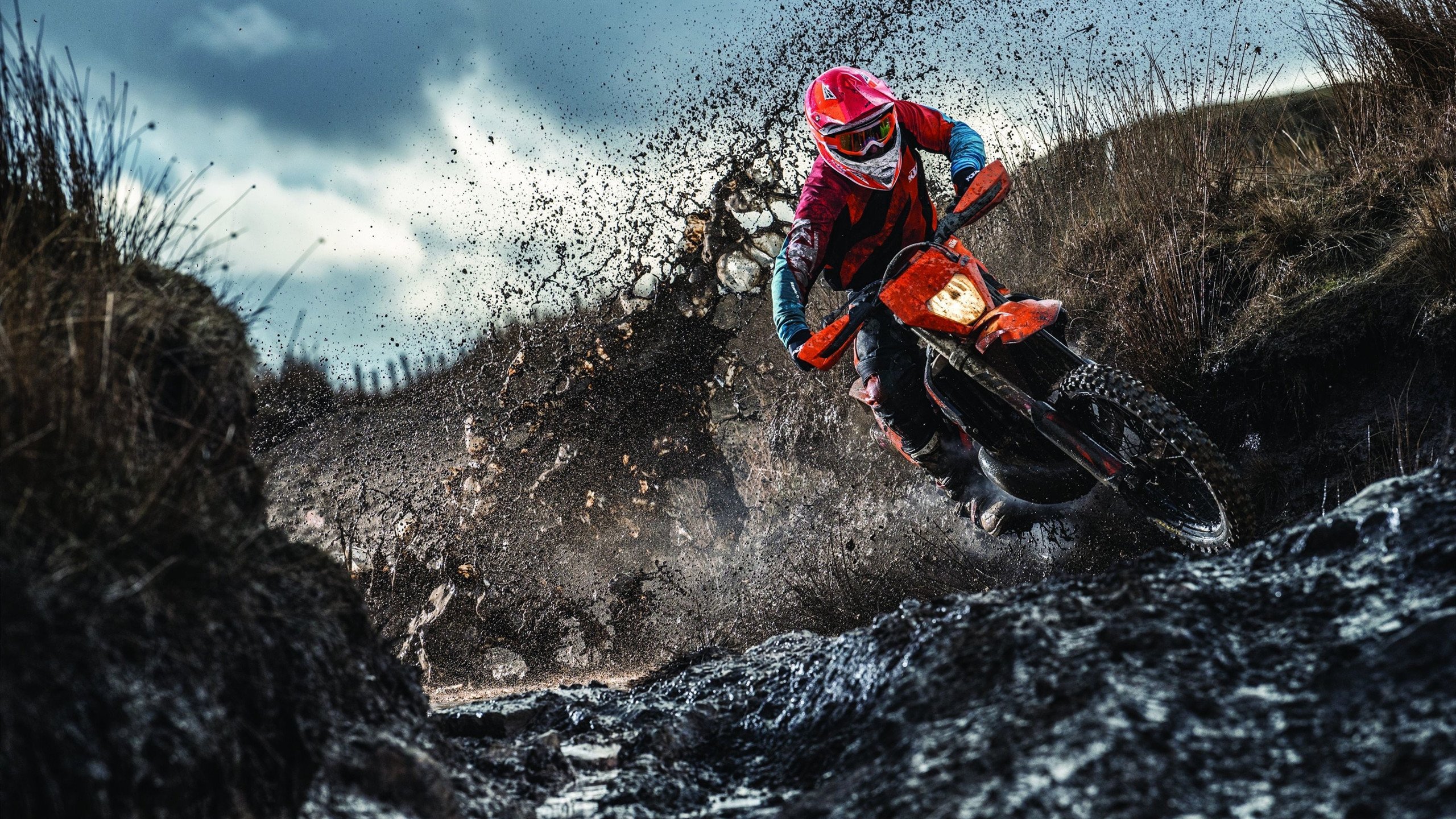 游泳世锦赛：中国队金牌不断，实力再升！，游泳世锦赛 2022