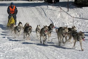 开云-长跑邀请赛：肯尼亚运动员屡创新高，赛事火爆！，肯尼亚长跑冠军